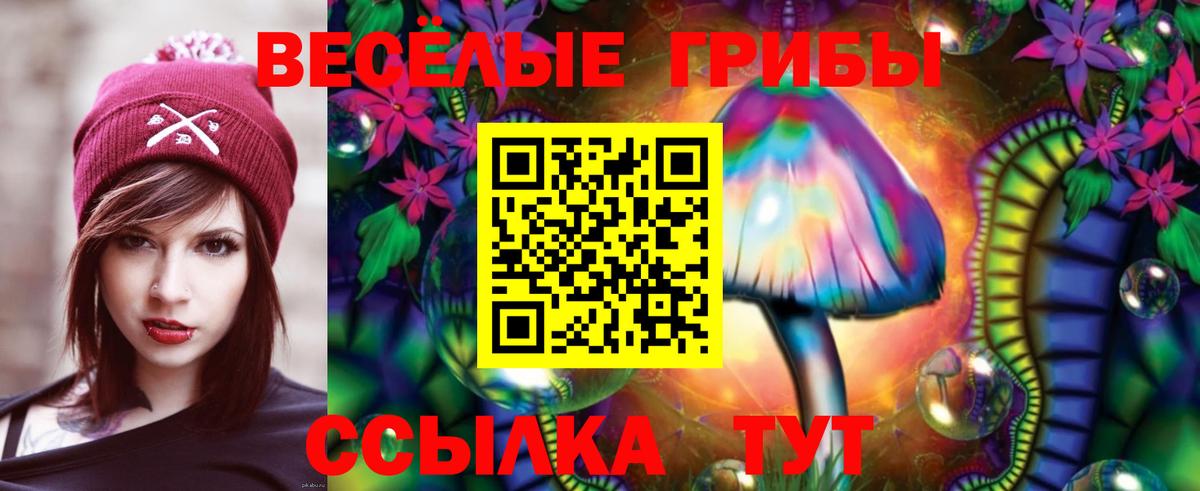 Галлюциногенные грибы прущие грибы  магазин продажи наркотиков  Вход с VPN  Новороссийск  Галлюциногенные грибы мицелий 