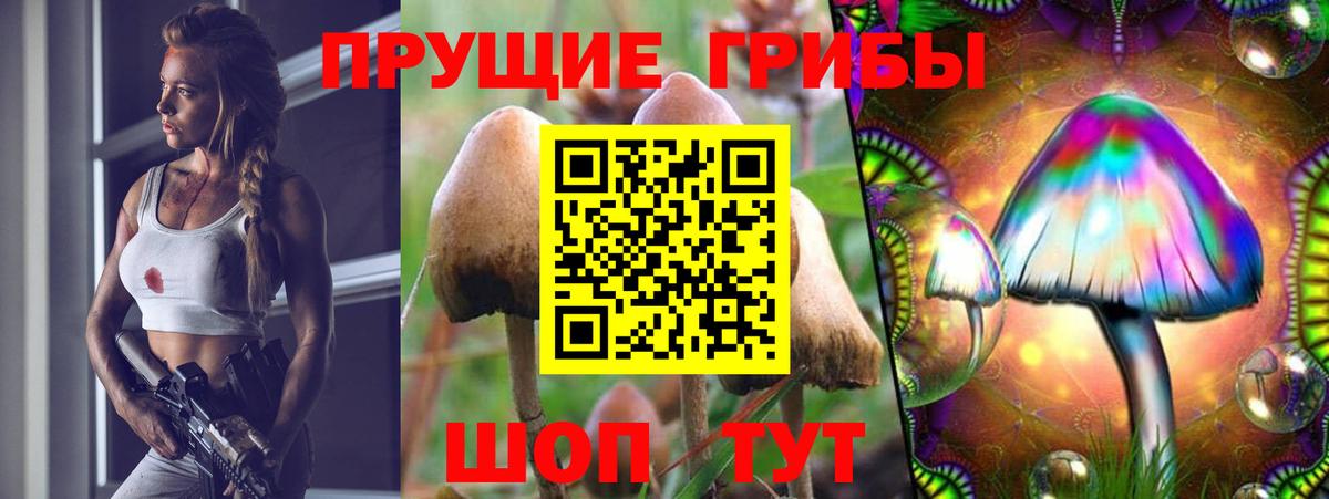 Галлюциногенные грибы Magic Shrooms Новороссийск